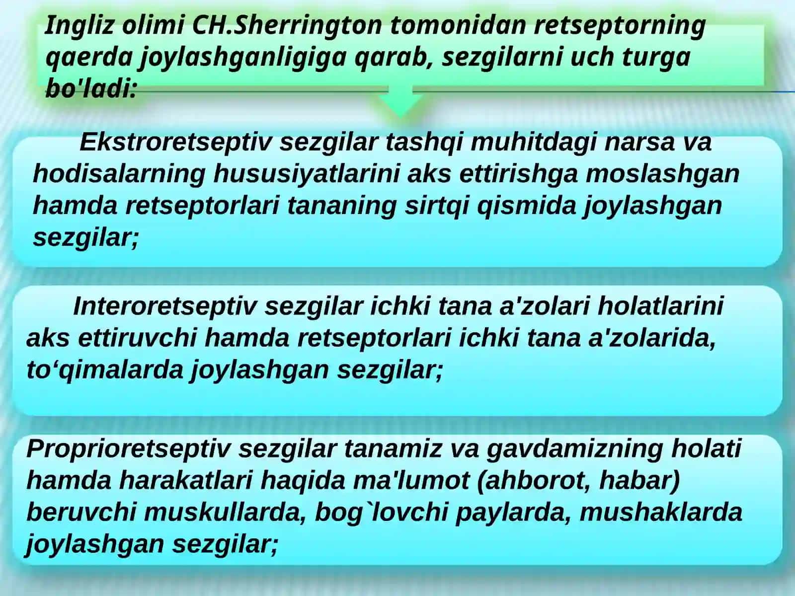 Insontanasining kinestatik sezgisi 4