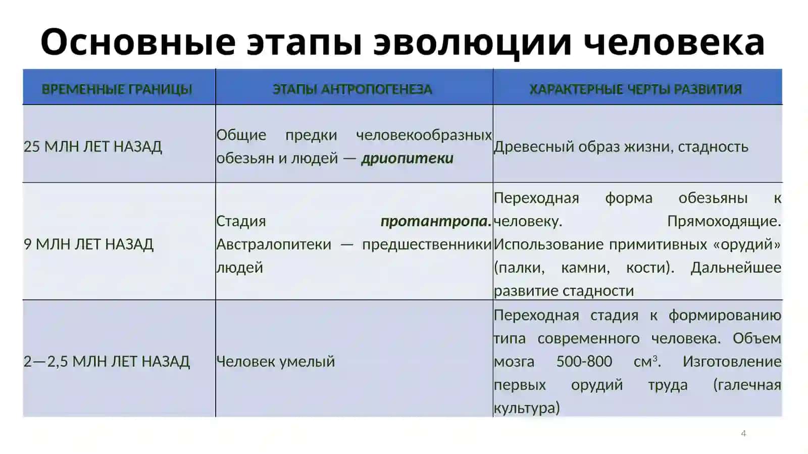 Происхождение и эволюция человека 4