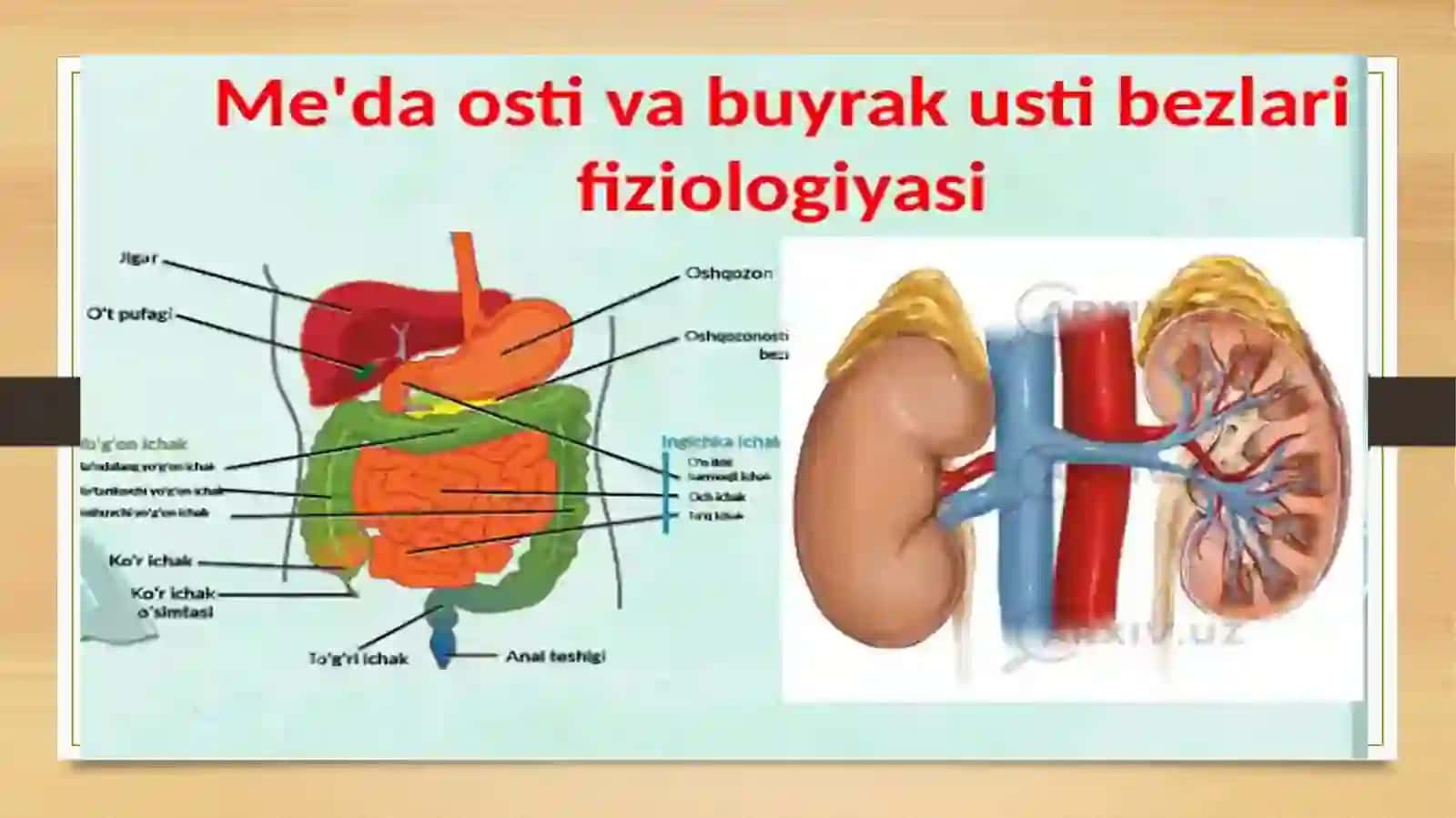 Meʼda ostibezi 4