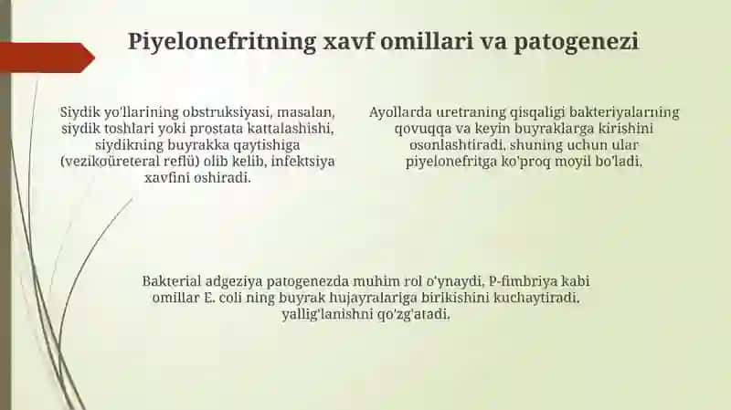 Xomiladorlar pielonefriti 4