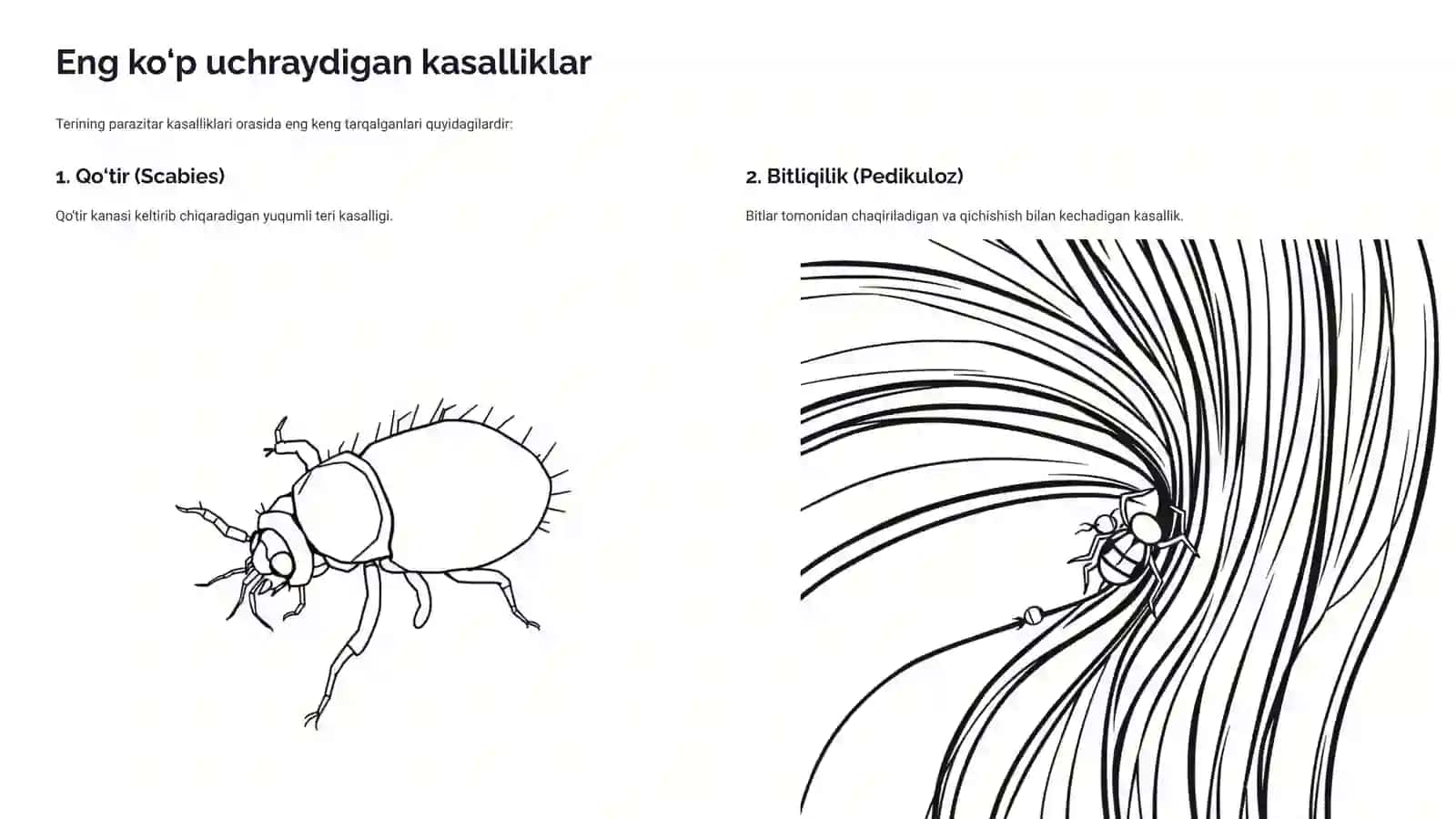 Terining parazitar kasalliklari: Kirish 4