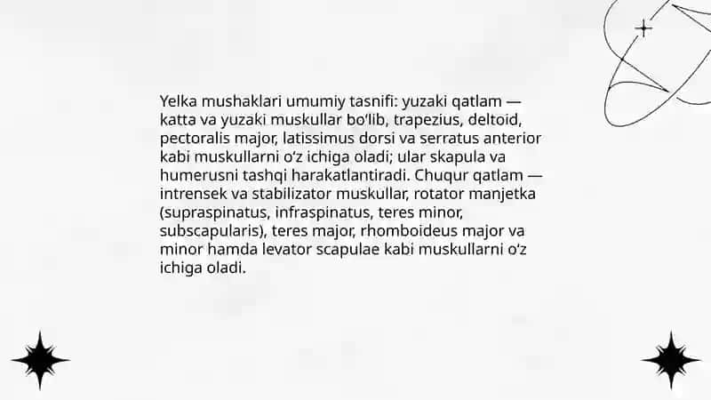 Yelka _kamari va yelka mushaklari 4