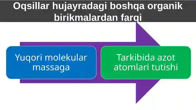 Oqsillar.Aminokislotalar 4