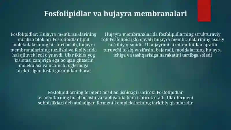 Hujayra Strukturalari Va Fermentlar Tizimi 4