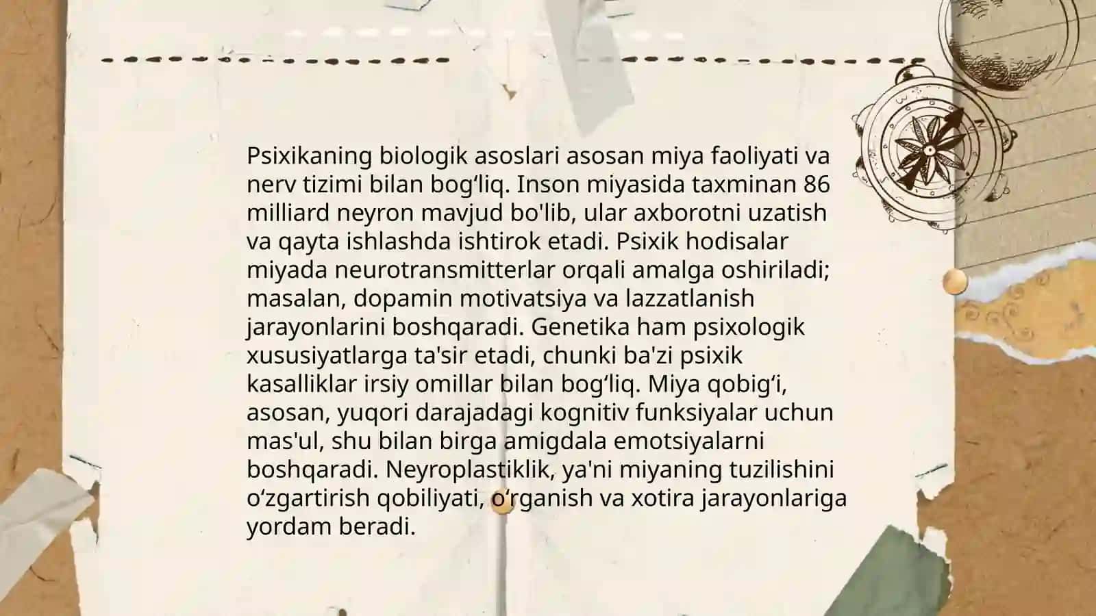 Inson psixikasini ontogenezda rivojlanishi 4