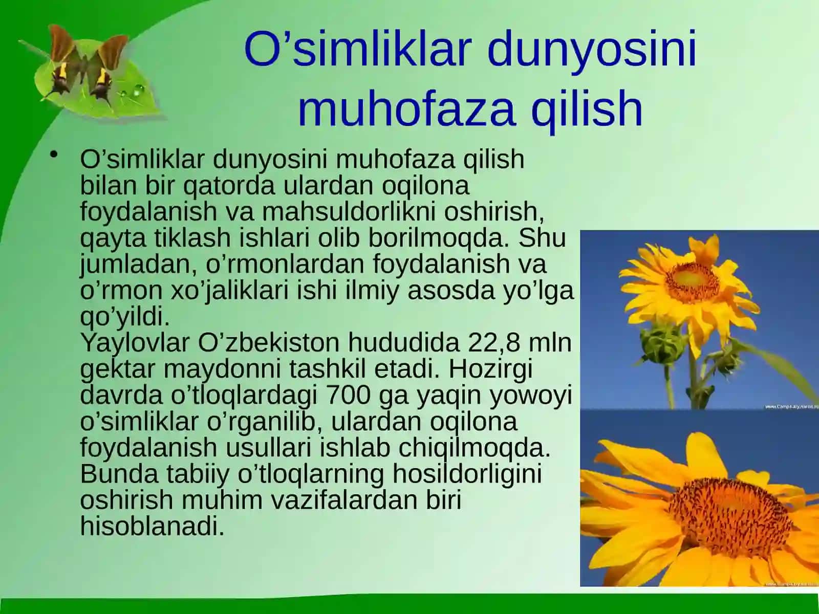 O'simliklar dunyosini muhofaza qilish 4