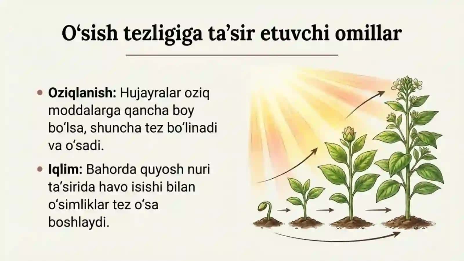 Novda tizimining shakllanishi 4