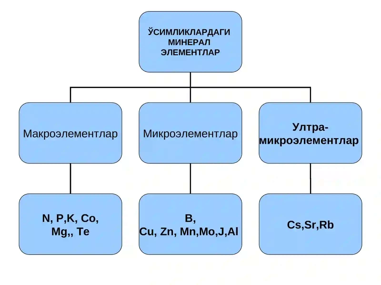 Тупроқнинг озиқа мароми 4