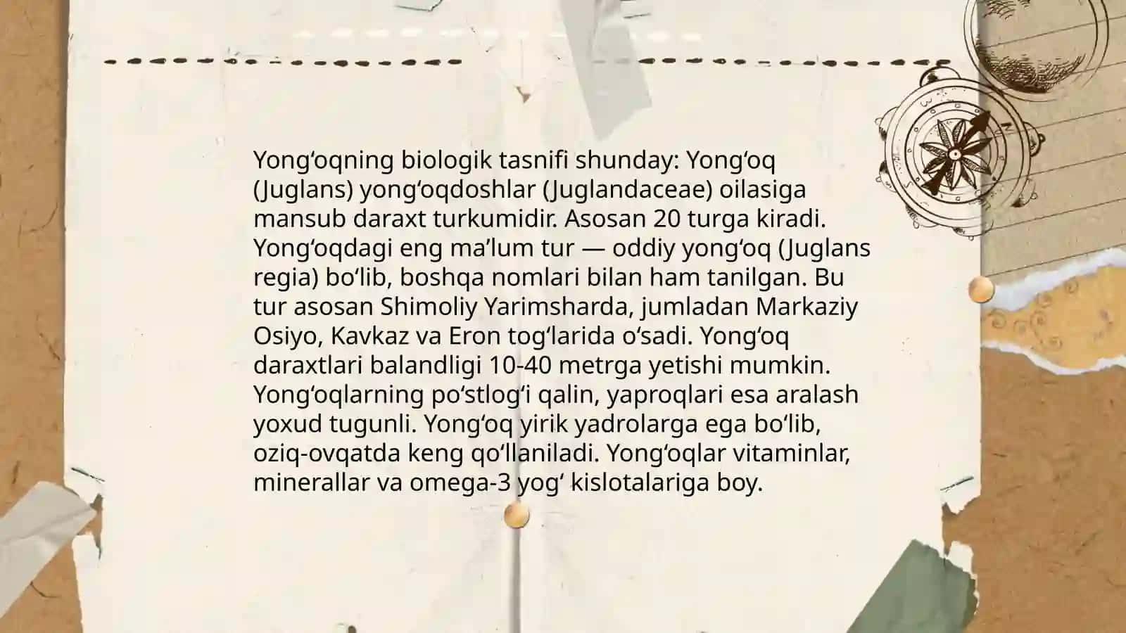 Nuts tovushlari tasnifi 4