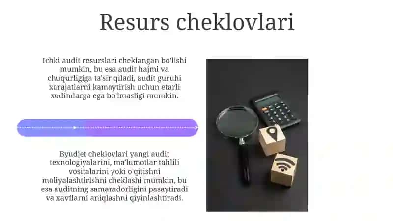 Ichki auditni cheklovlari 4