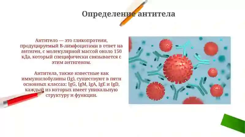 Антигениантитела 4