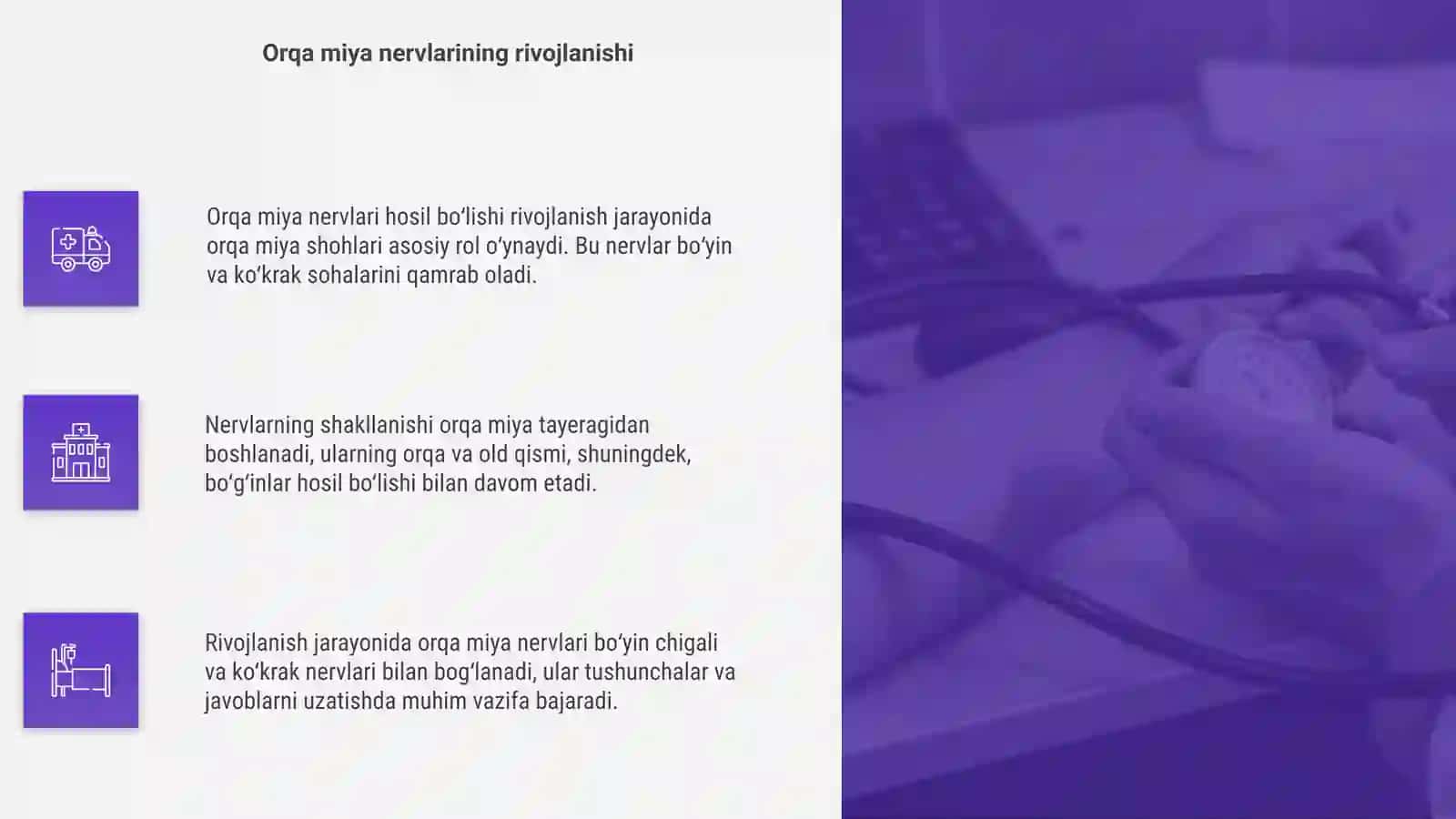 Orqa miya nervlarining hosil boʻlishi 4