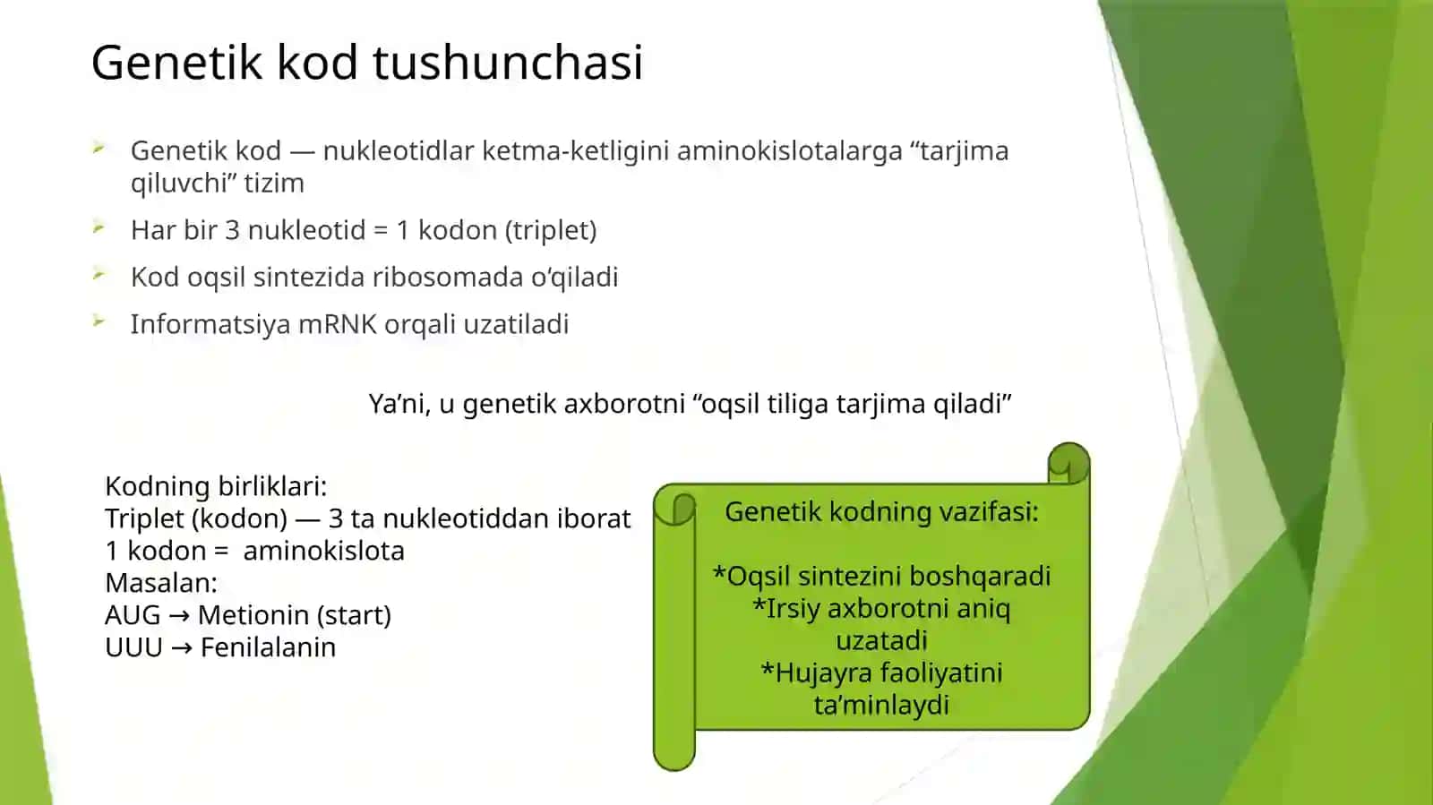 Genetikkod: tarkibi, tuzilishi va xossalari 4