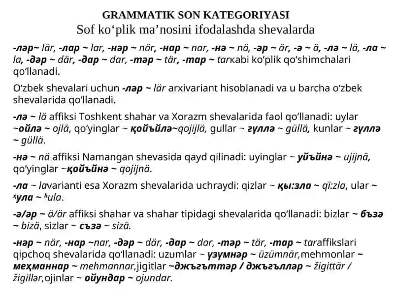 O’ZBEK SHEVALARI MORFOLOGIYASI 4