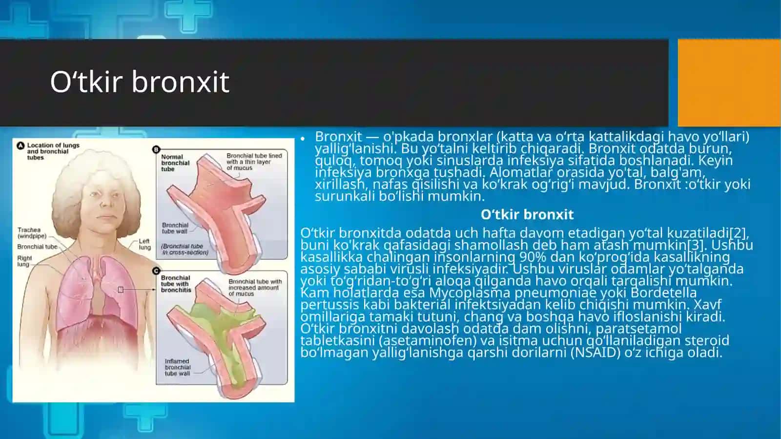 Borxit Prostatit Kriptorxizm 4