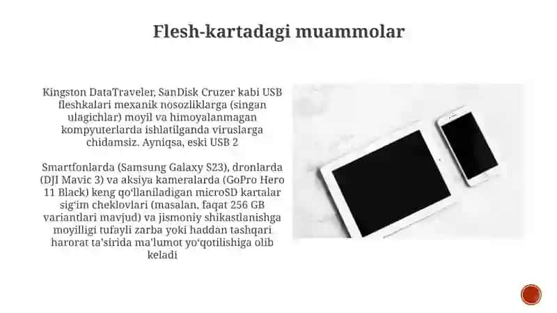 Flesh-karta Xavfsizligi 4