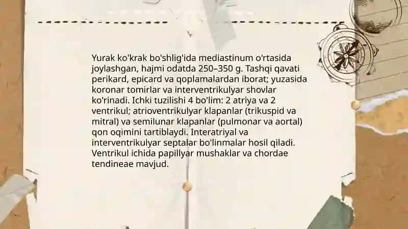 Qon aylanish sistemasi 4