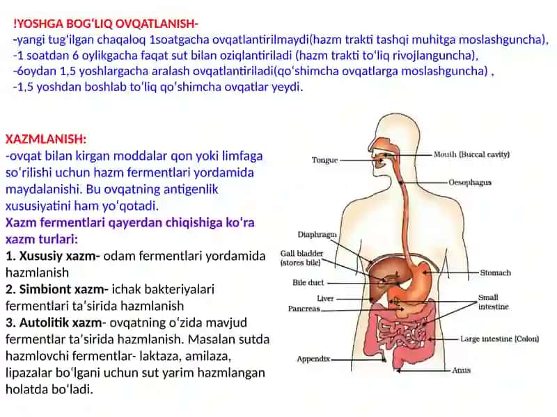 Ovqatlanish Biokimyosi 4