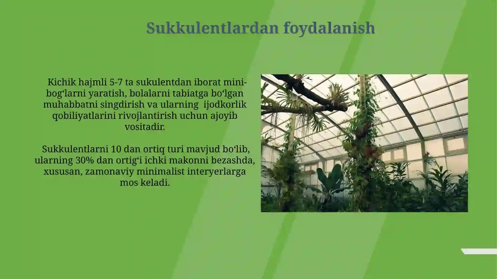 Suvo‘tlarning sistematikasi 4