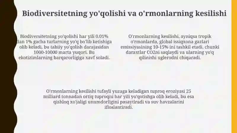 Global ekologik muommolar 4