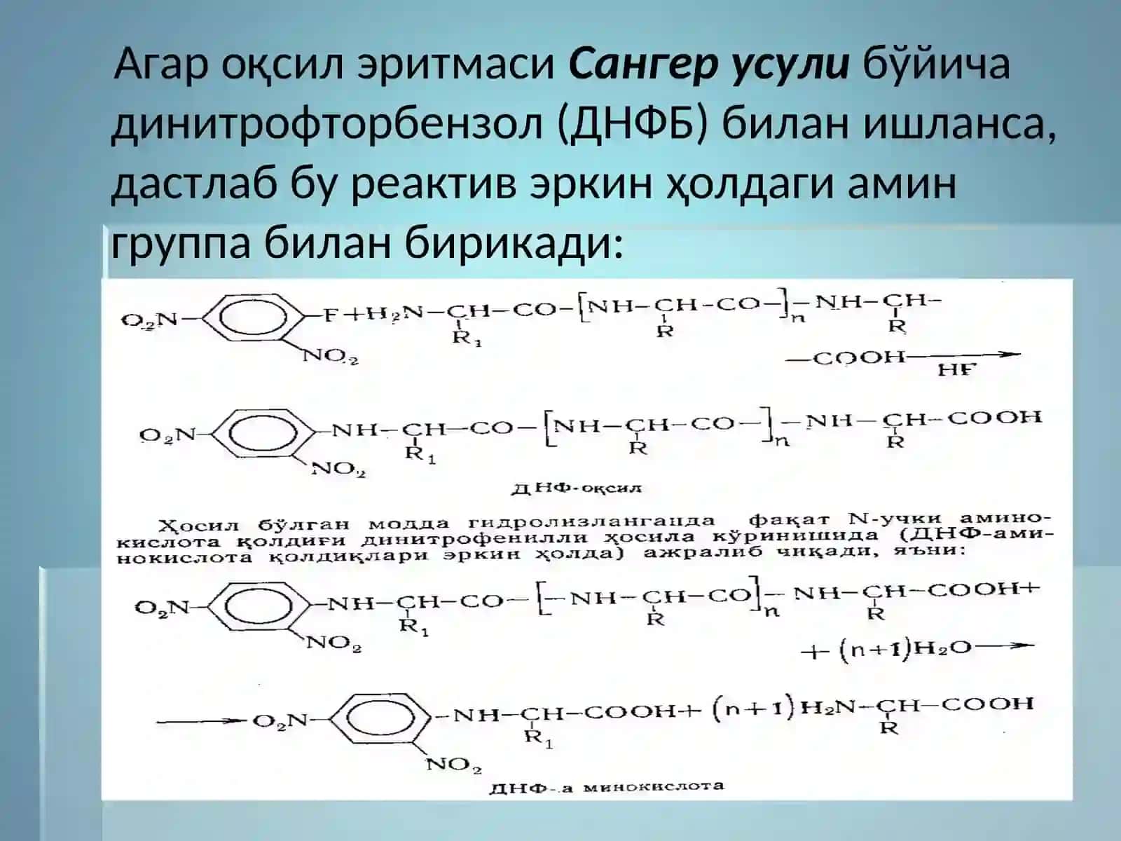 Оқсилларнинг бирламчи структураси 4