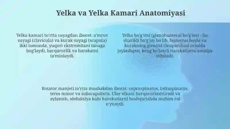 Yelka va elka kamarining tasnifi 4