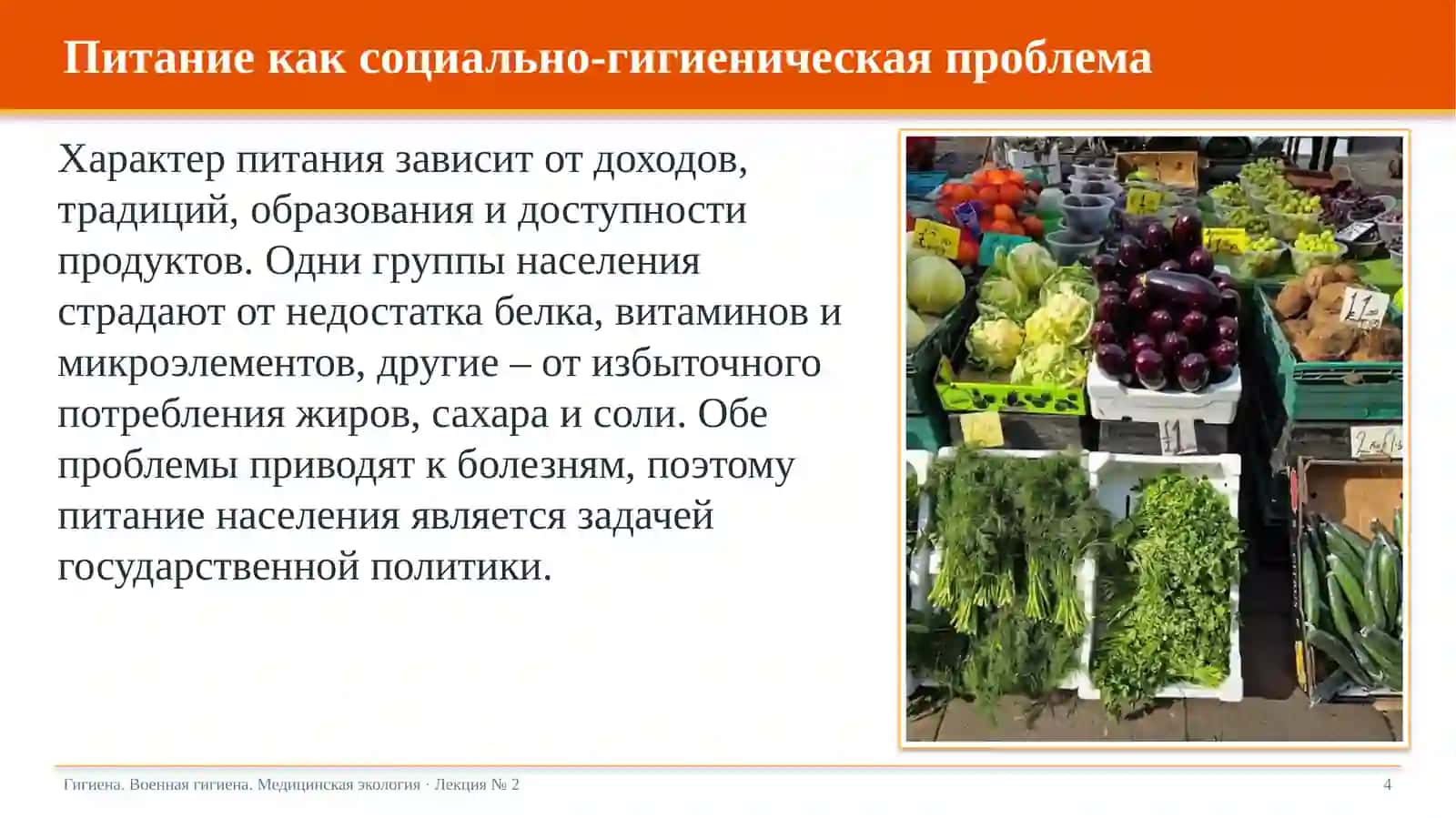 Питание и здоровье 4