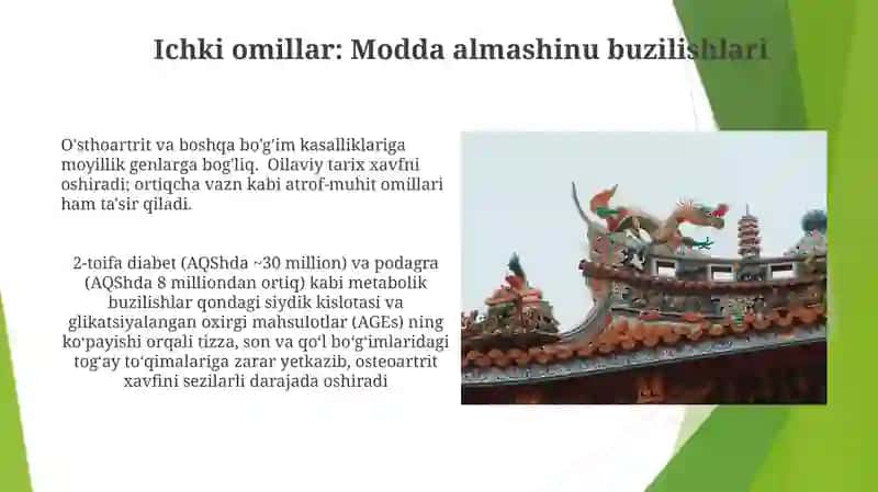 Boʻgʻimlar tuzilishga tashqi va ichki faktorlarning taʼsiri 4