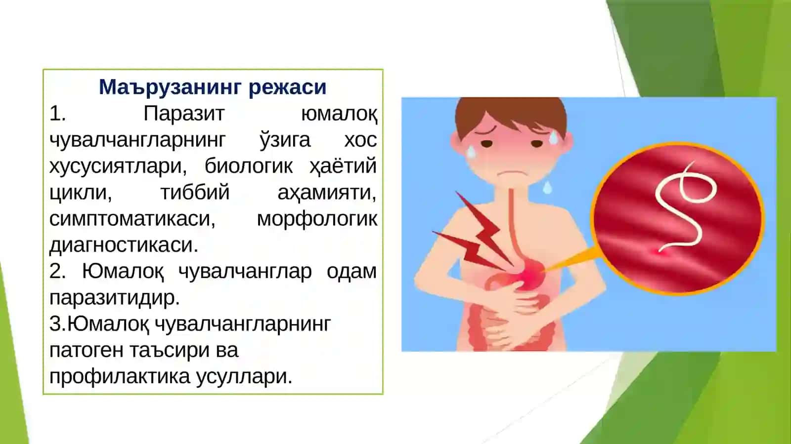 Тиббийгельминтология: юмалоқ чувалчанглар 4
