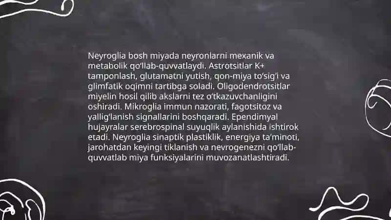 Bosh miya sohasi fiziologiyasi 4