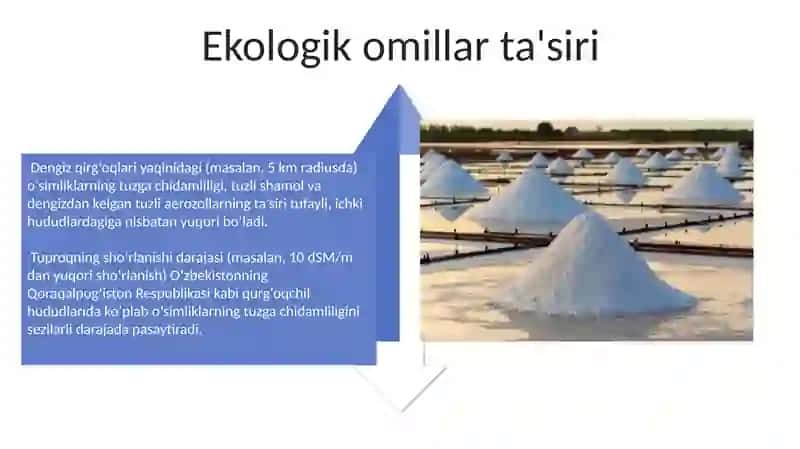 O'simliklarni sho'r darajada chidamlilik 4