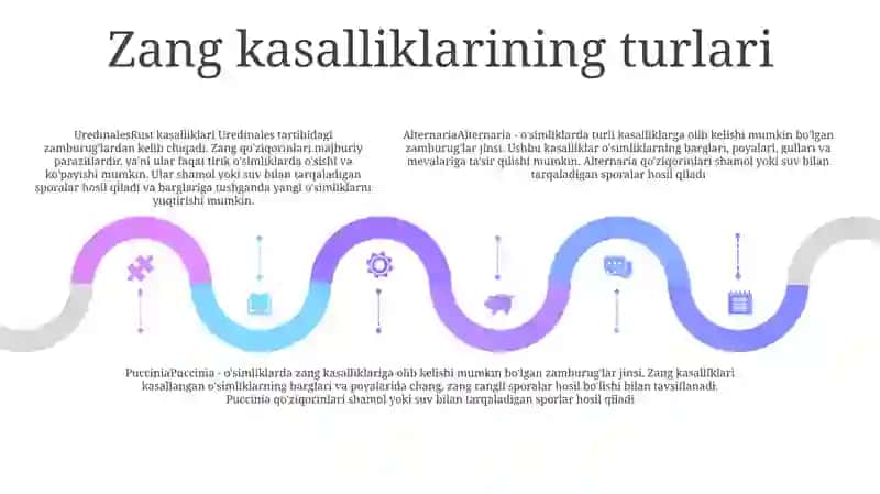 OʻSimliklarda Zang Kasaliklari 4