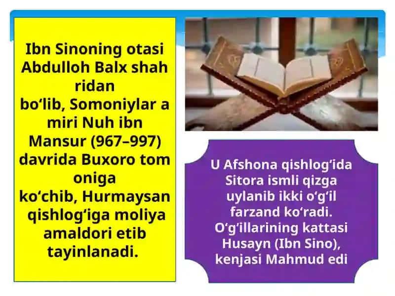 Abu Ali Ibn Sinoning ilmiy me’rosi 4