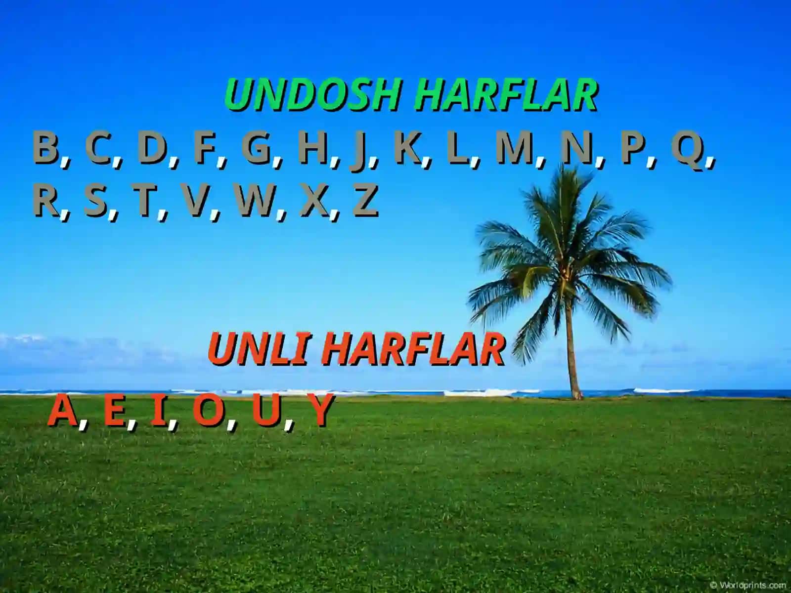 INGLIZ TILI FANI O’QITUVCHISI 4