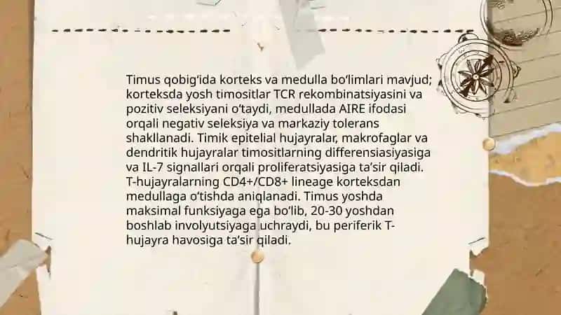 Immun tanqisligining fiziologik asoslari 4