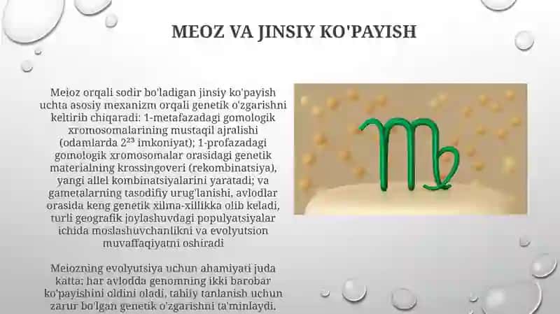Mayozning biologik ahamiyati 4