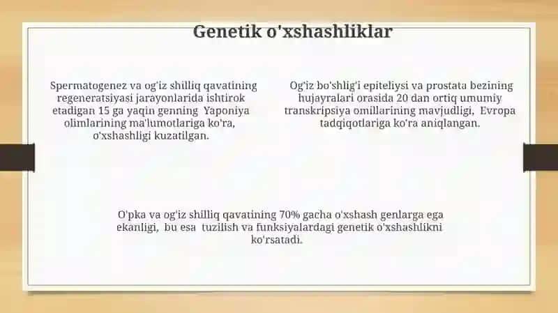 Og'iz Shilliq Qavati va Uning Xususiyatlari 4
