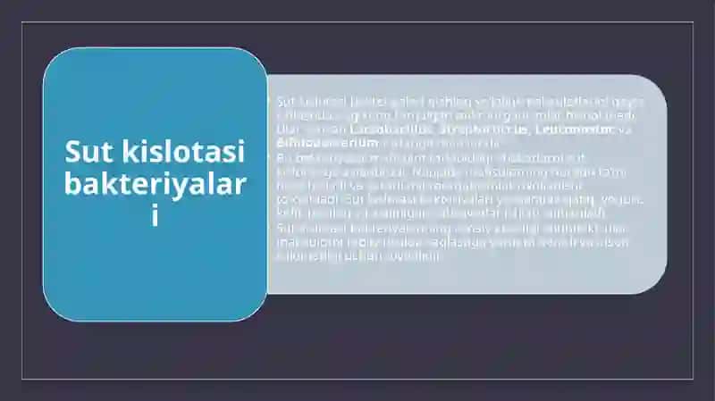 Foydali bakterialarni o'rganish 4