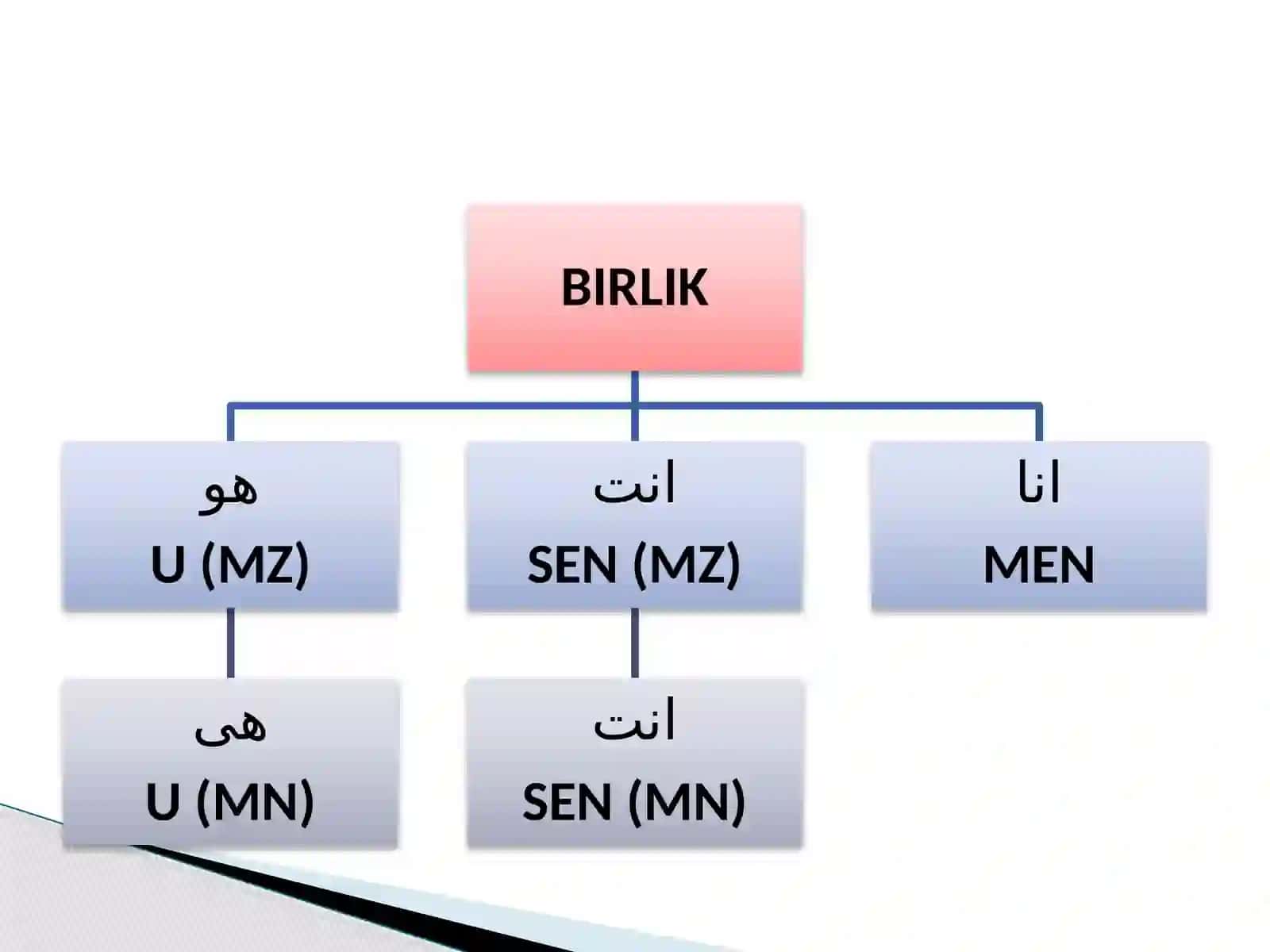 KISHILIK OLMOSHLARI 4