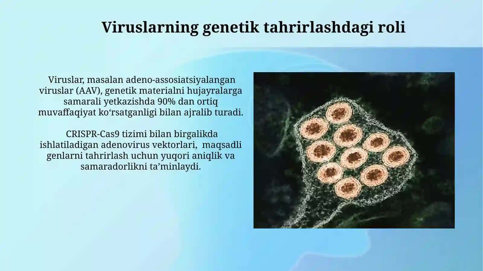 Viruslarni gen muhanfisligida qollanilishi 4