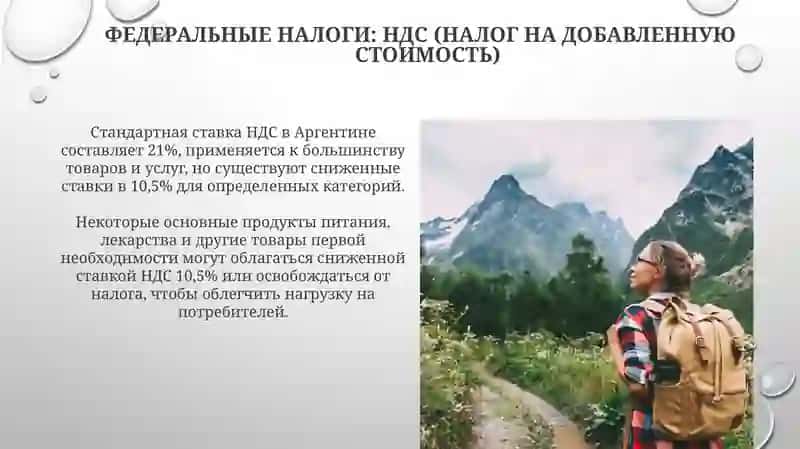 НАЛОГОВАЯ СТРУКТУРА 4