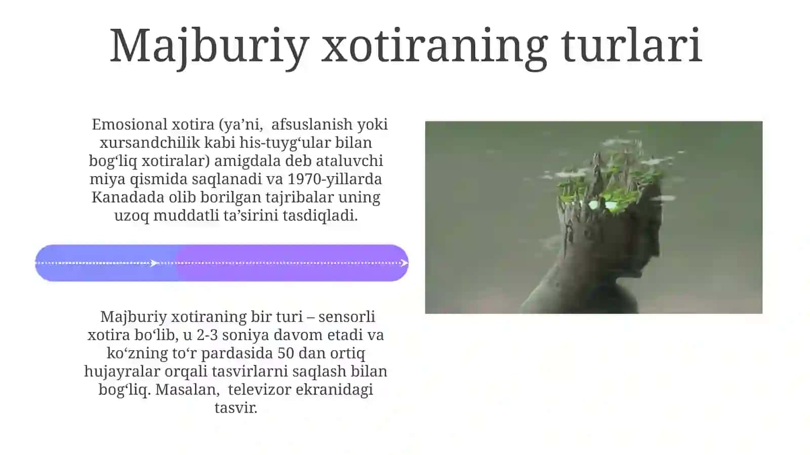 Ixtiyoriy va Majburiy Xotira: Ta'rif va Farqlar 4