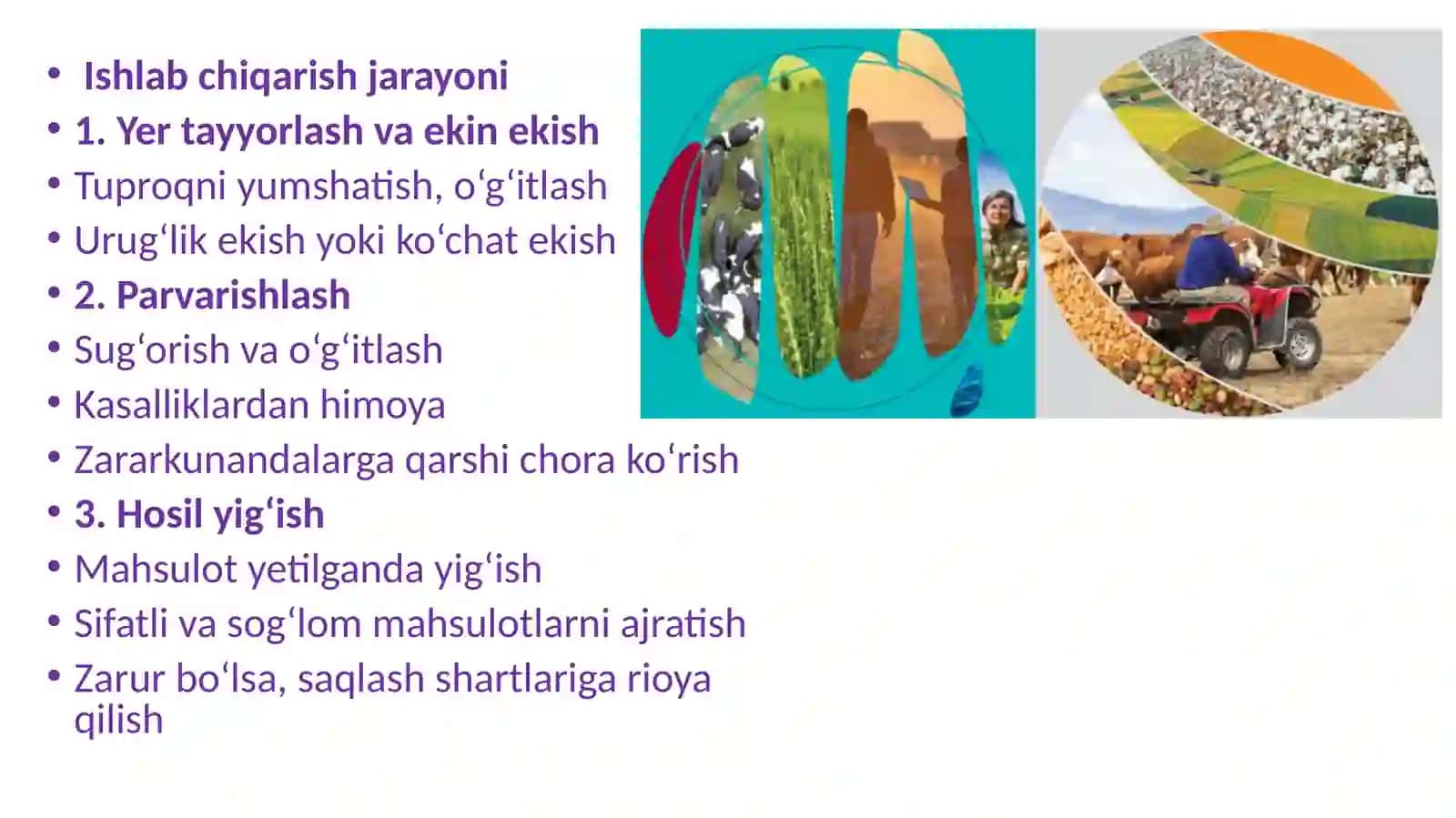 Qishloqxo‘jaligi mahsulotlari 4