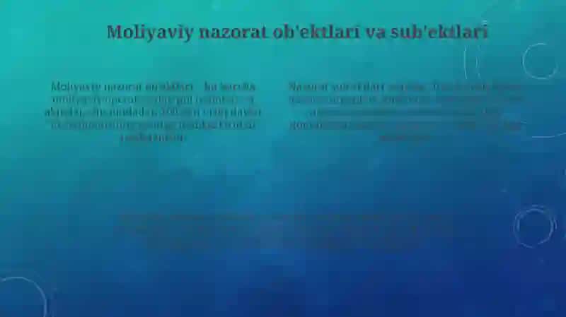 Moliyaviy nazorat tushunchasi va turlari 4
