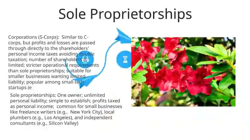 S Corporations 4