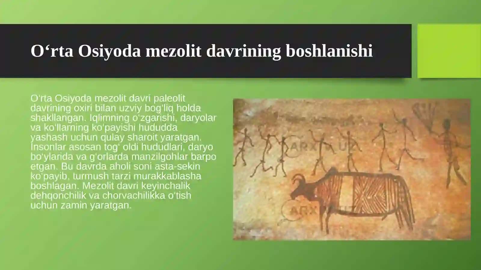 O‘rta Osiyodagi mezolit davri ibtidoiy manzilgohlari 4