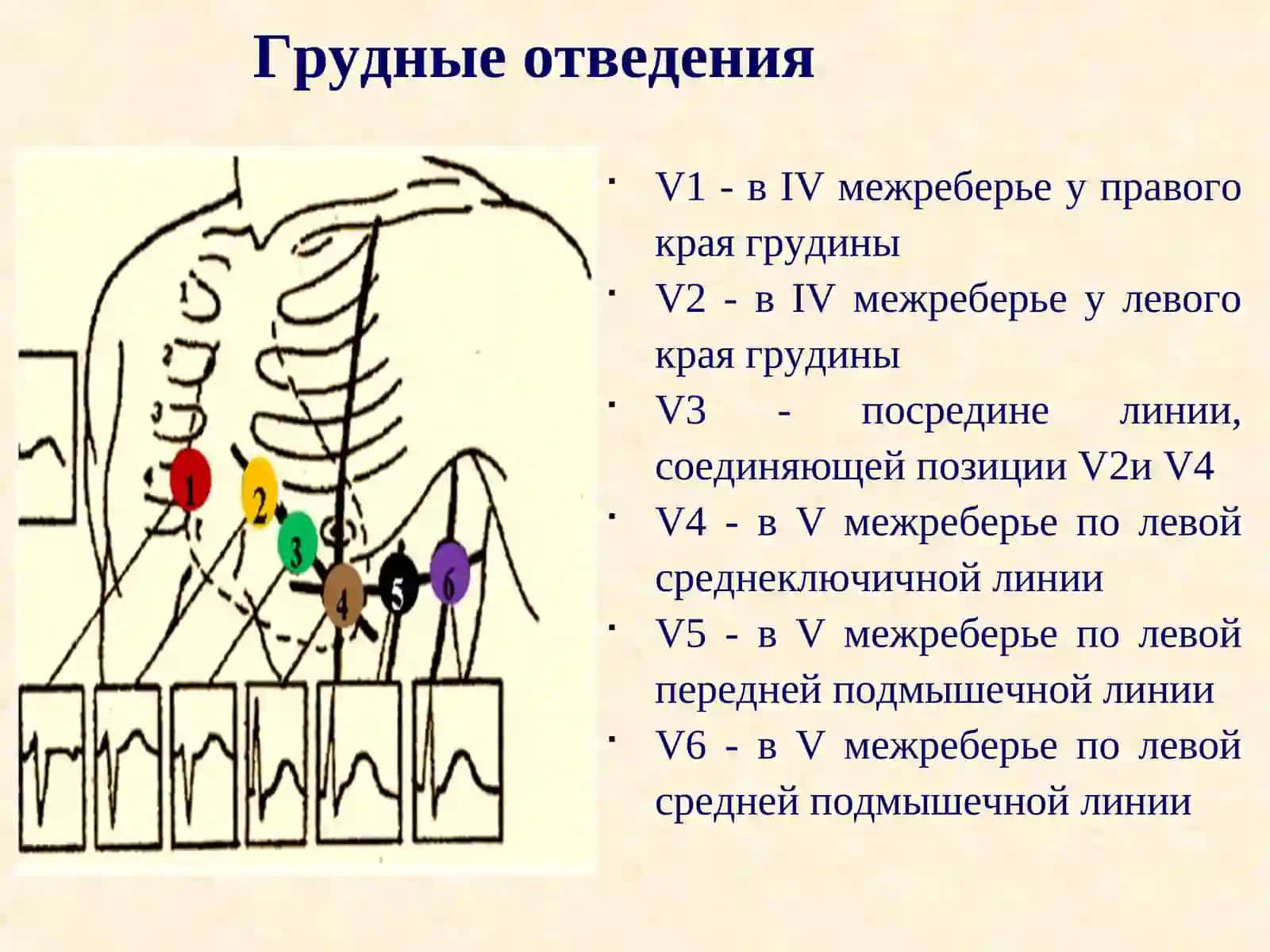 Нормативные значения ЭКГ 4
