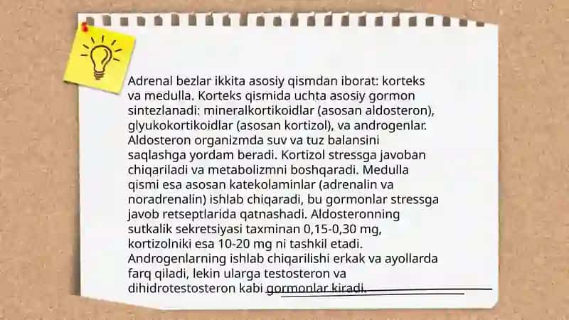 Buyrak usti bezi gormonlari 4