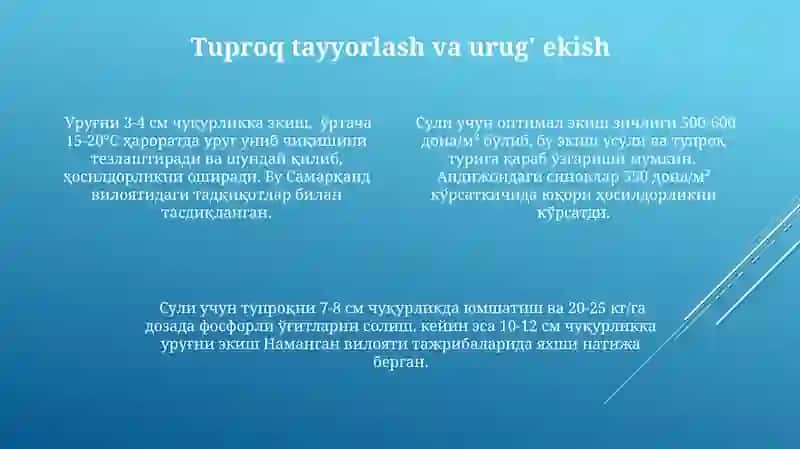 Suli yetishtirish tehnalogiyasi 4