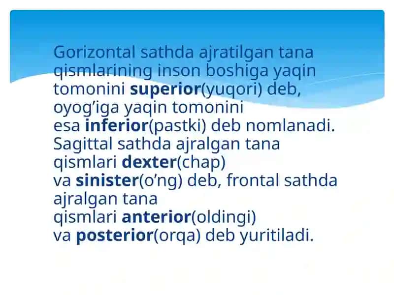 ANATOMIK IBORALARNING TARJIMASI 4
